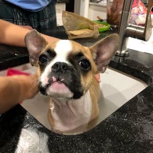 Meet your Posher, Sally